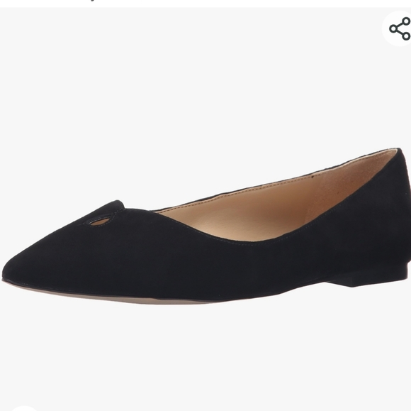 ๐ 2X HOST PICK ๐ Sam Eldman Pointy Toe Ballerina Flats - Picture 9 of 15